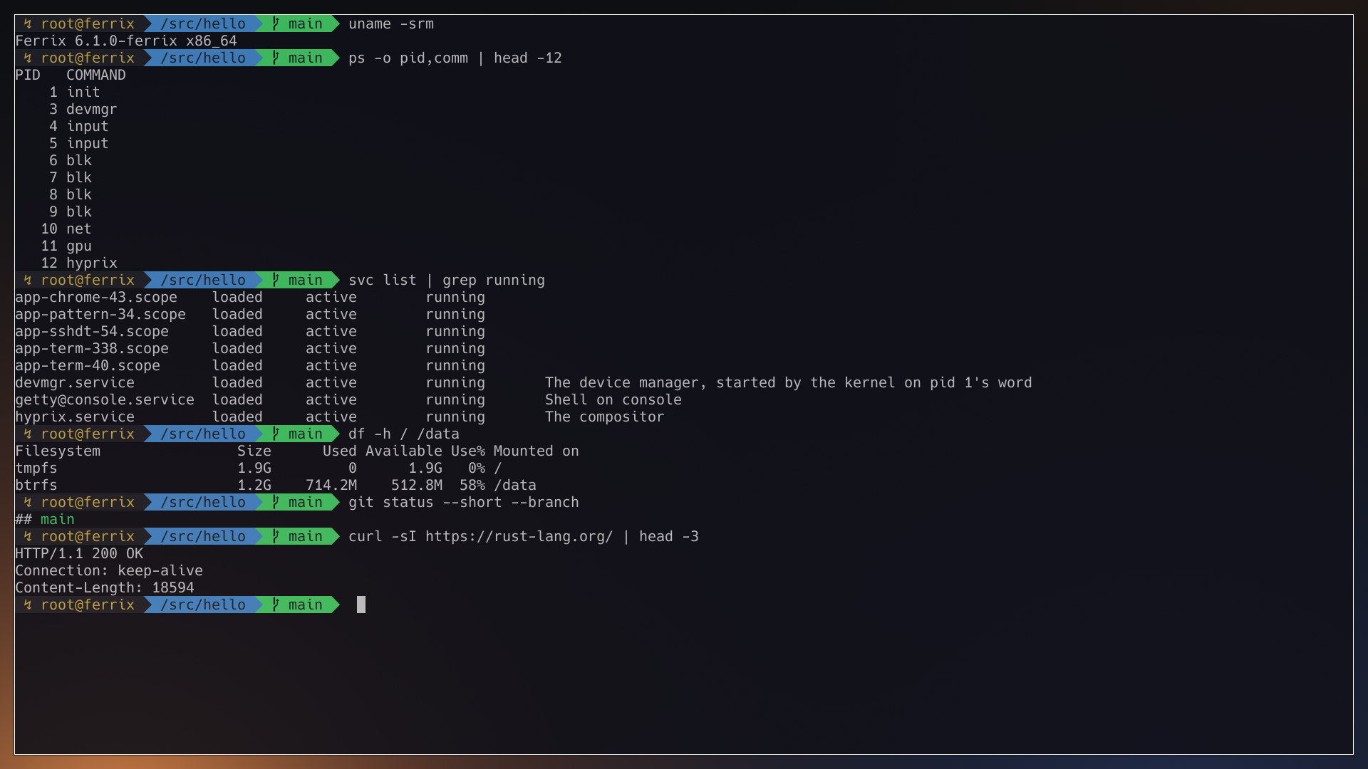 zinc with oh-my-zsh: uname, the ring-3 driver processes, svc, df and curl over HTTPS